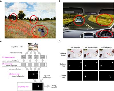 The Role of Eye Gaze During Natural Social Interactions in Typical and Autistic People